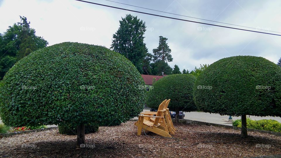 Relaxing among the perfect trees