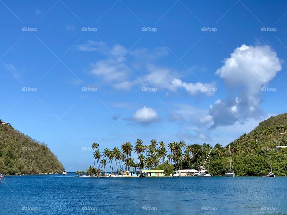 A small peninsula covered in palm trees jutting out from a hill into a harbor