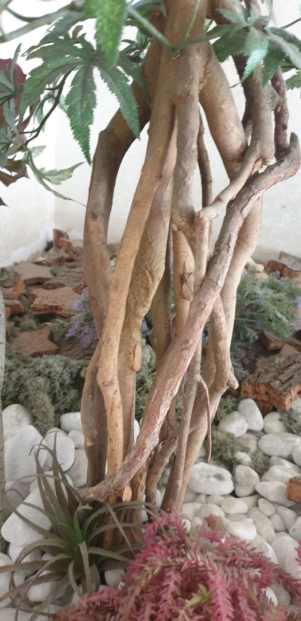 aiuola decorata