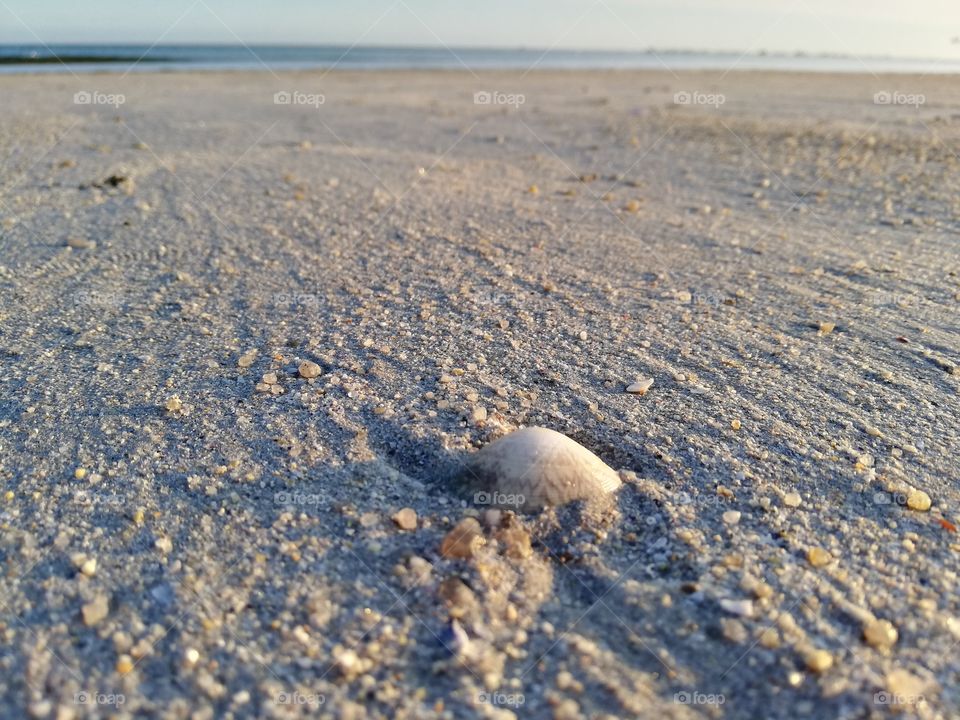 Sable et coquillage