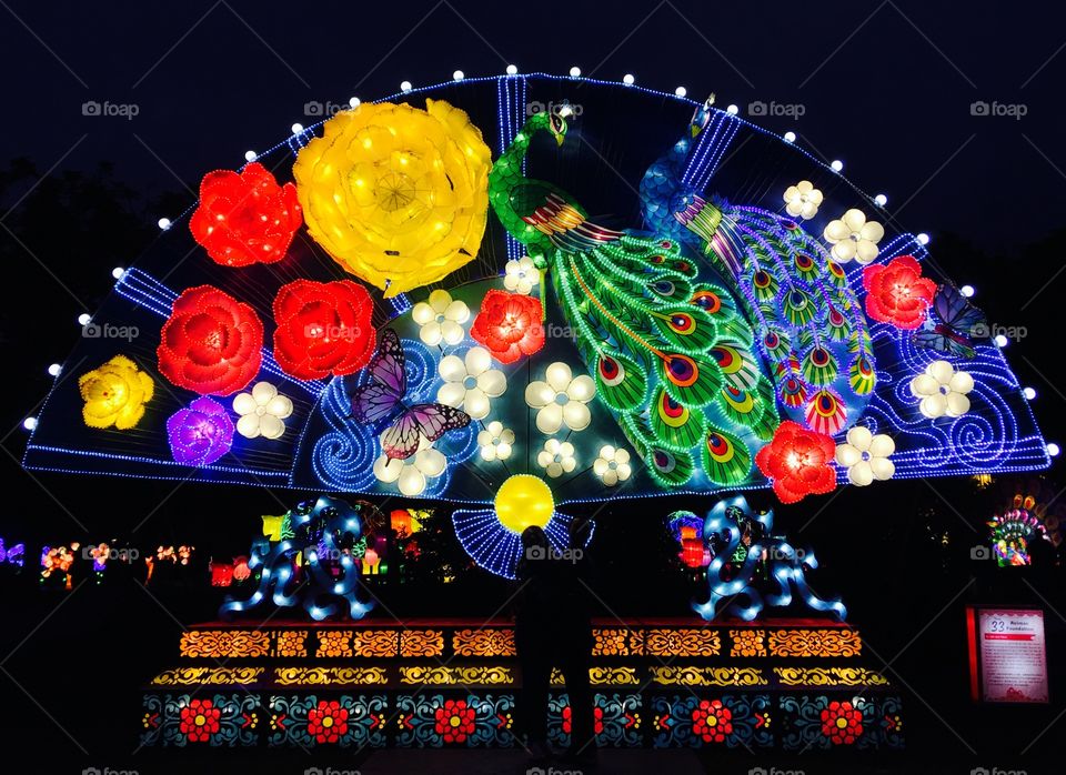 Spectacular display of lights!
China Lights at the Botanical Gardens