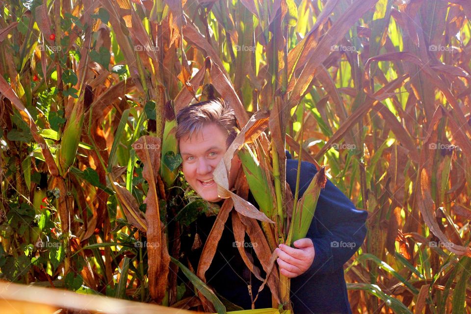 Corn Maze Fun. A man hides in corn maze