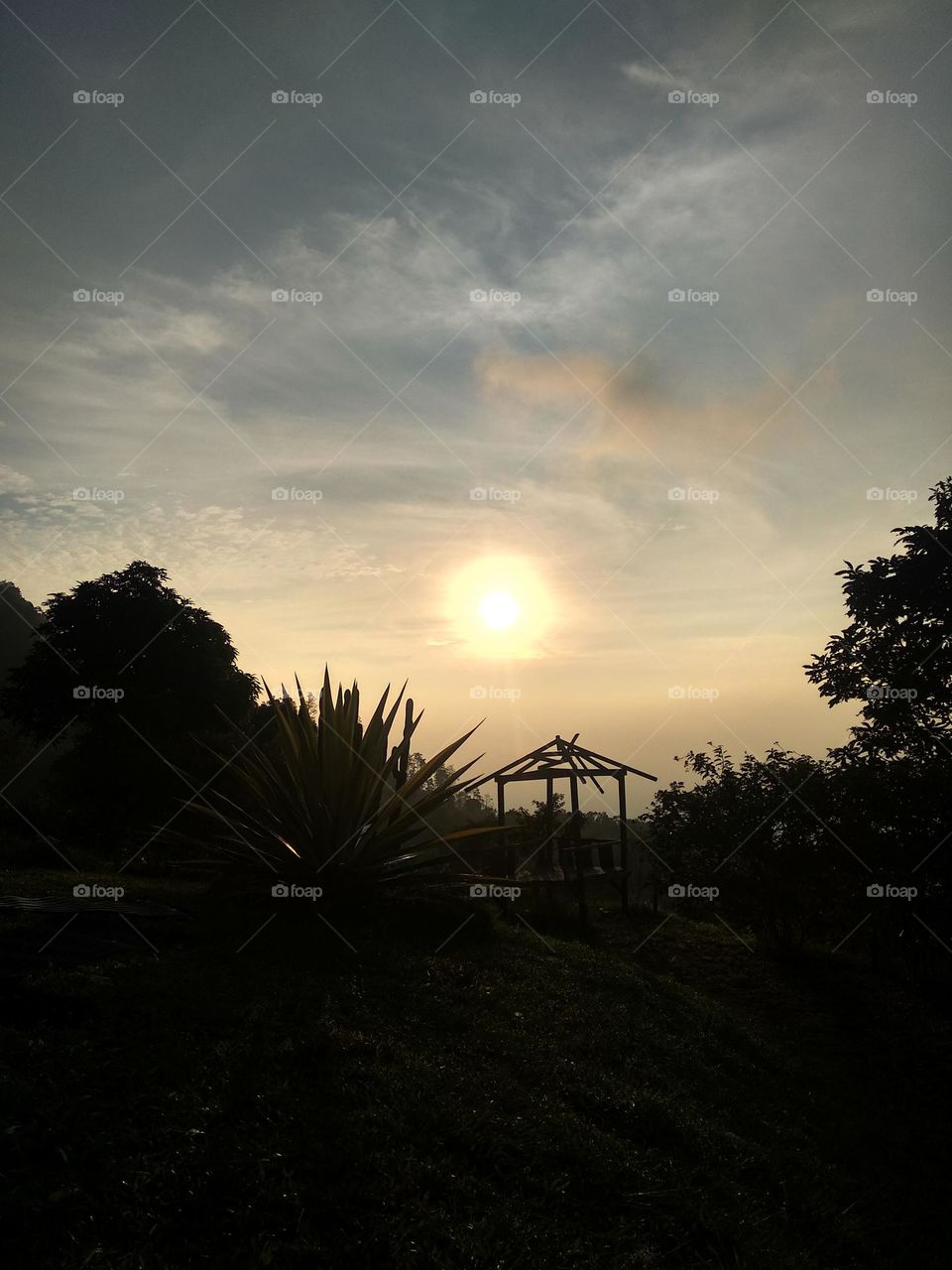 morning sunset on the hill