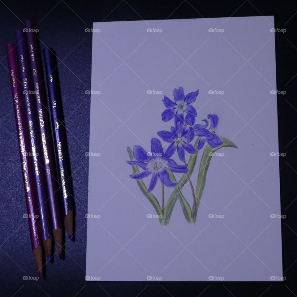 purple fliwri