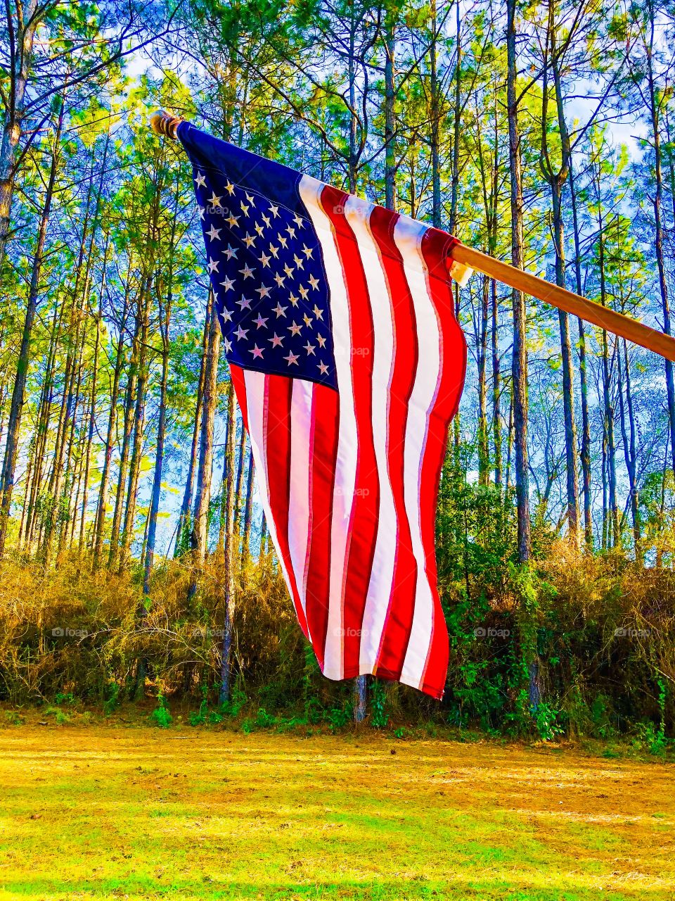USA flag with blue sky and trees in the wind