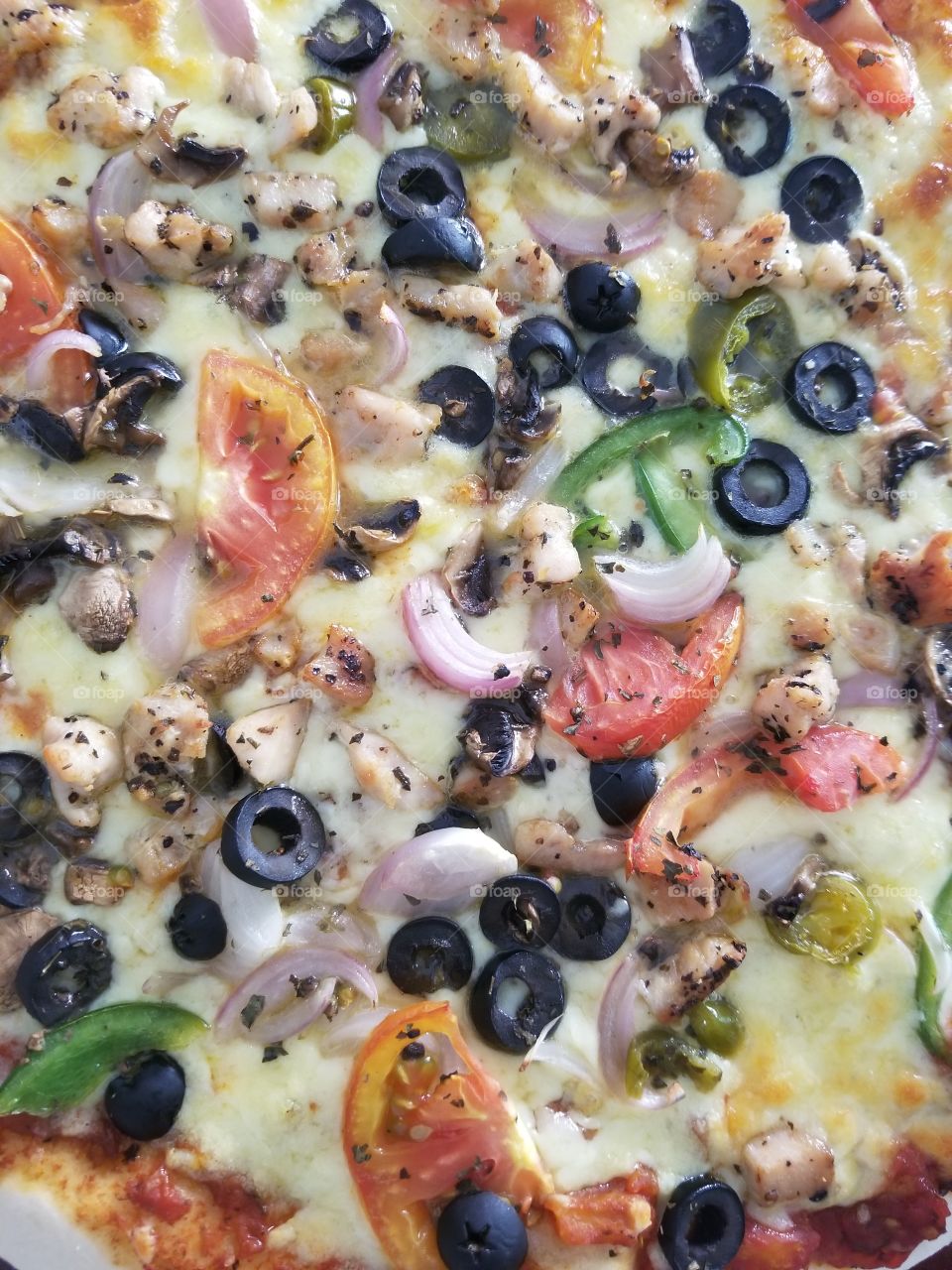 Vegetable pizza