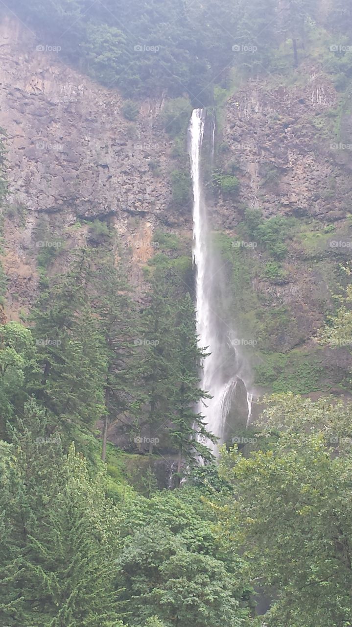 Multnomah Falls. Homebound trip love this waterfall. 