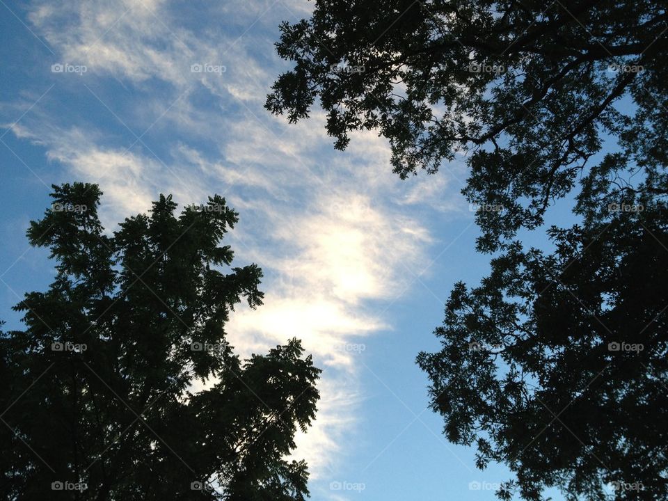 Before The Sun Comes Up