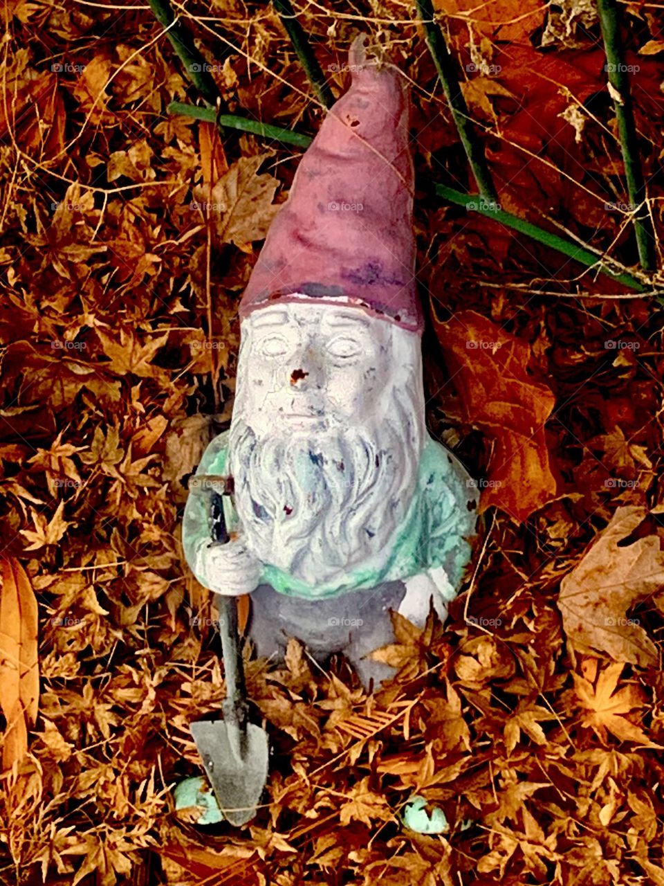 Half buried gnome