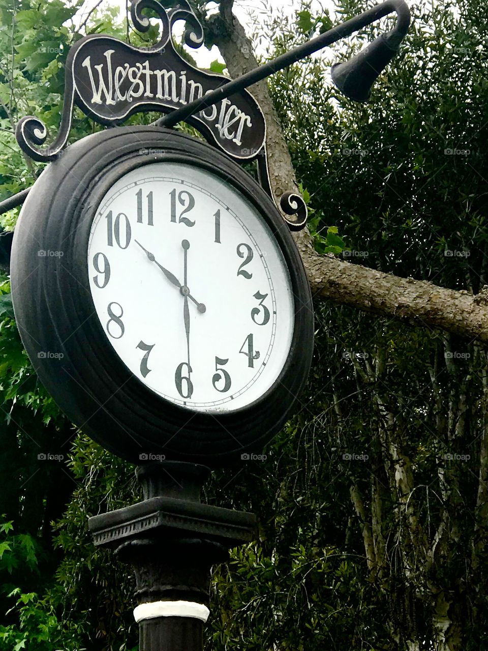 Lion Clock Costa Mesa