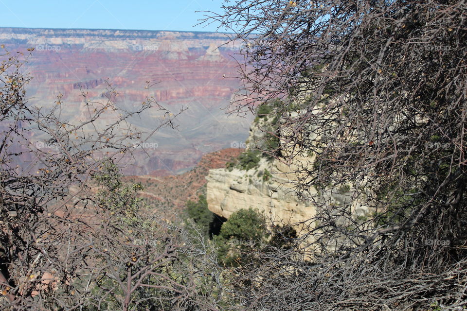 Grand Canyon View