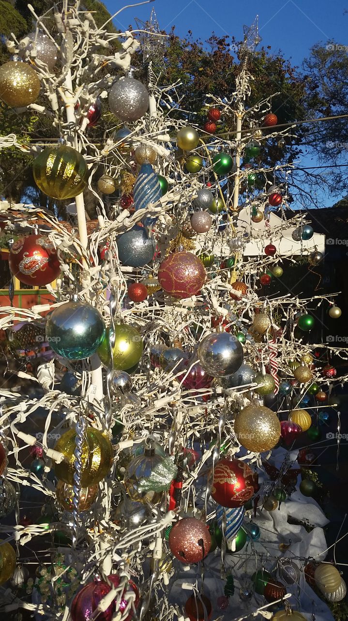 Sparkly  Outdoor Christmas Tree