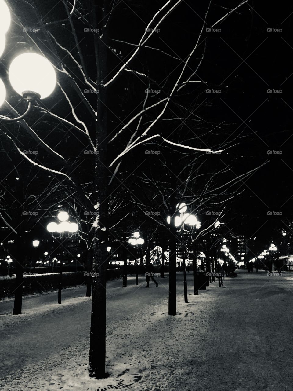 Winter evening in Kungsträdgården, Stockholm, Sweden