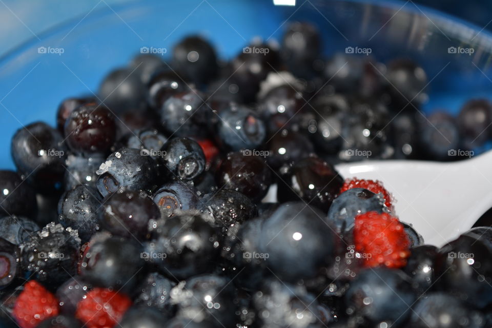 Suger on blueberries