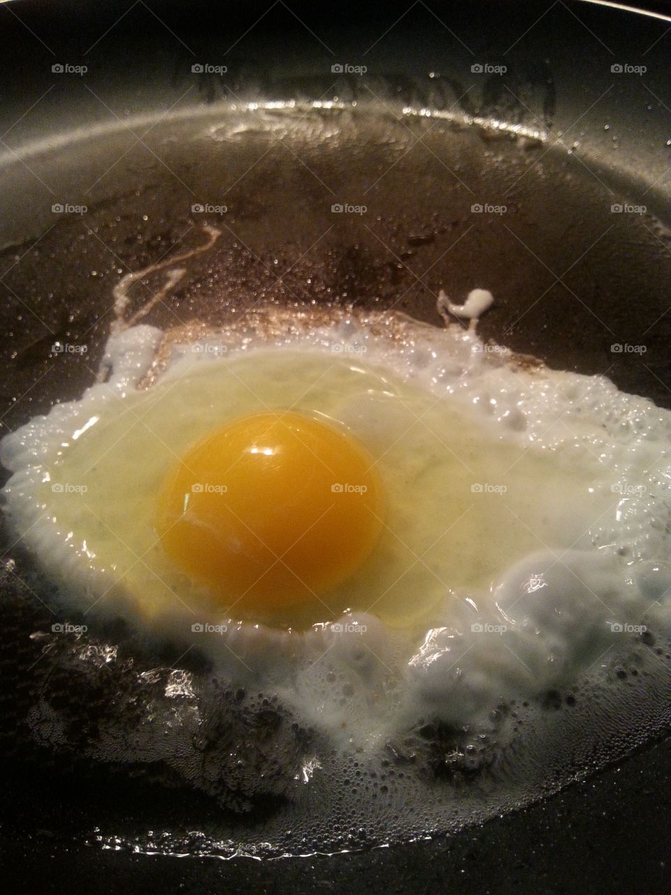 Fried Egg