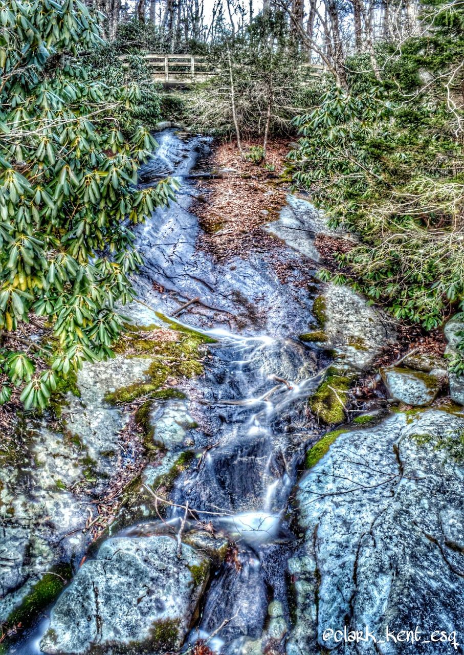 A Spring Creek just off of Blue Ridge Parkway