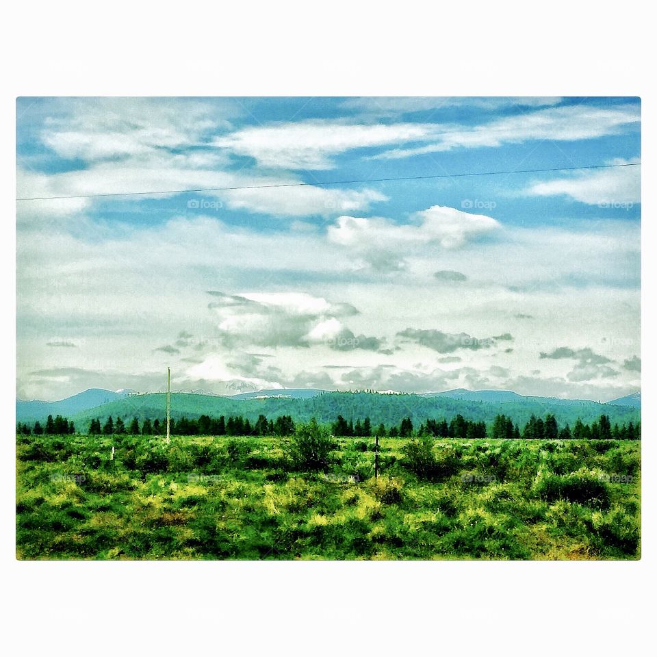 Oregon landscape 