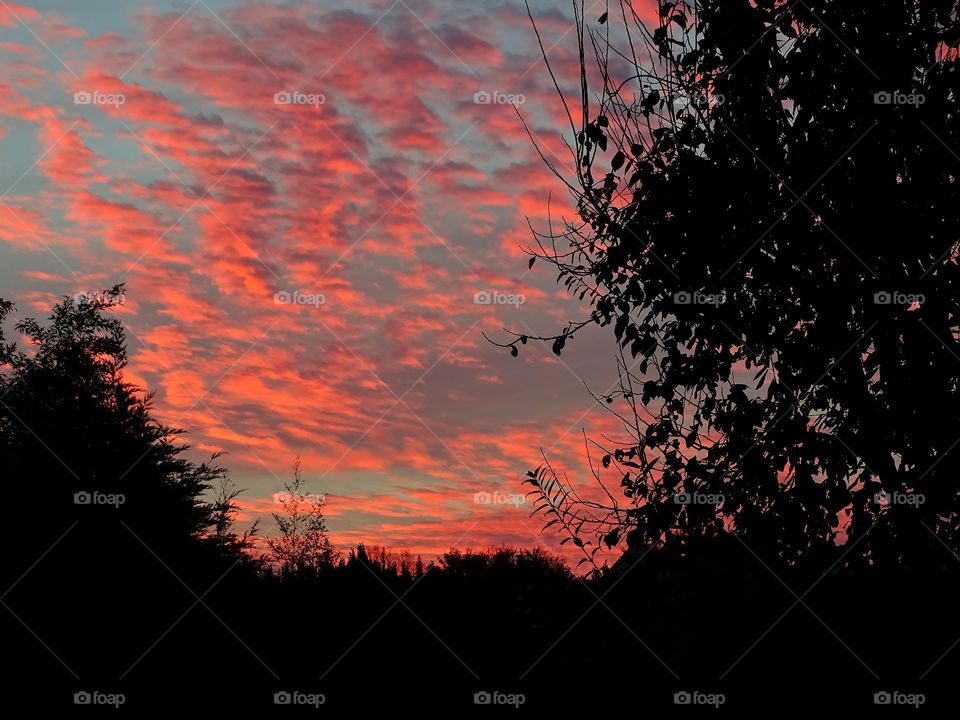 Red colored sky