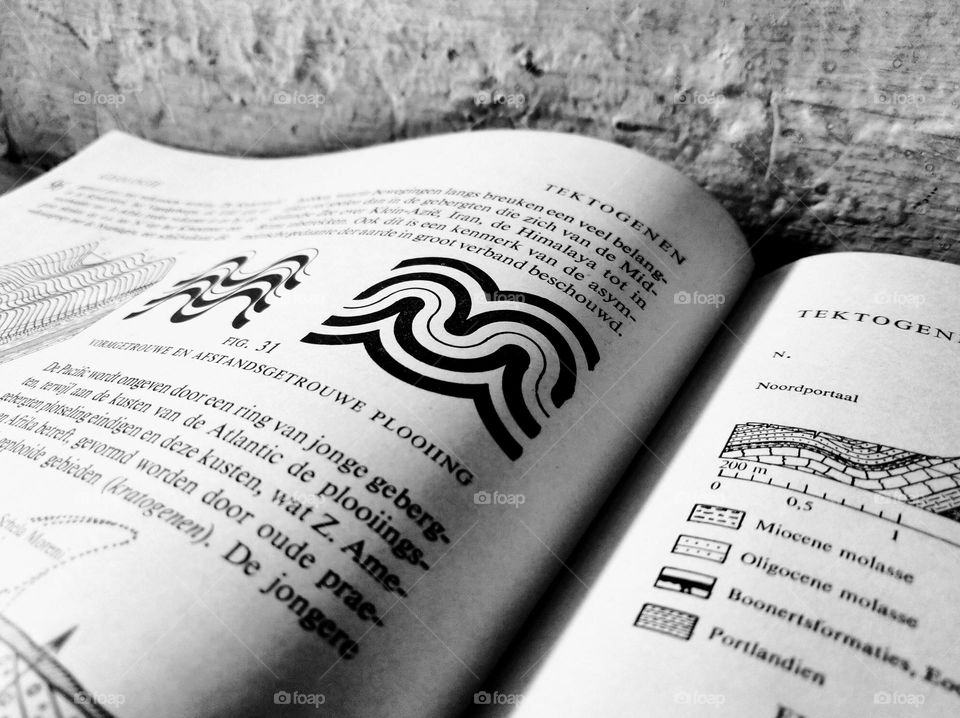 Reading the encyclopedia