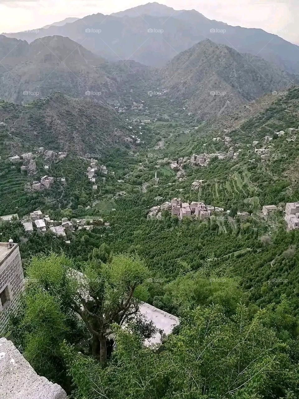 Glory be to God, the magnificent and picturesque view and the natural green trees are a view that is nothing more wonderful than it