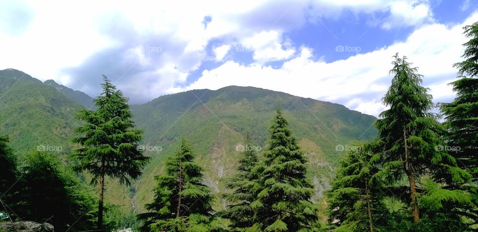 Himachal pradesh, India