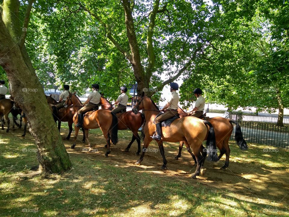 Hyde Park horse riding
