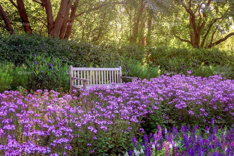 Flower garden in park