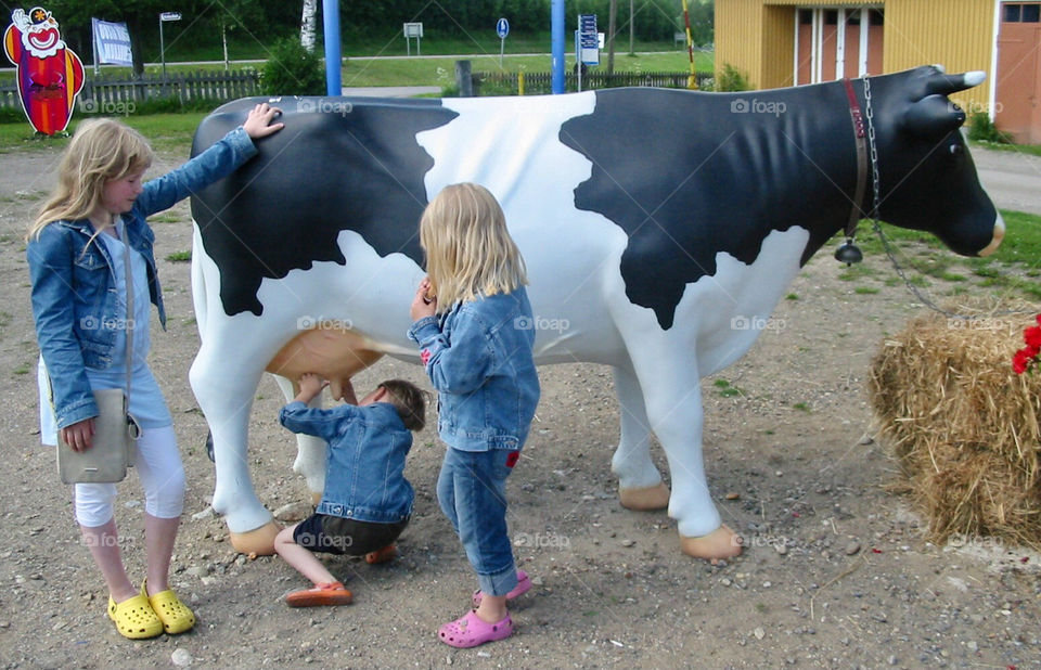 Children milking plastic cow