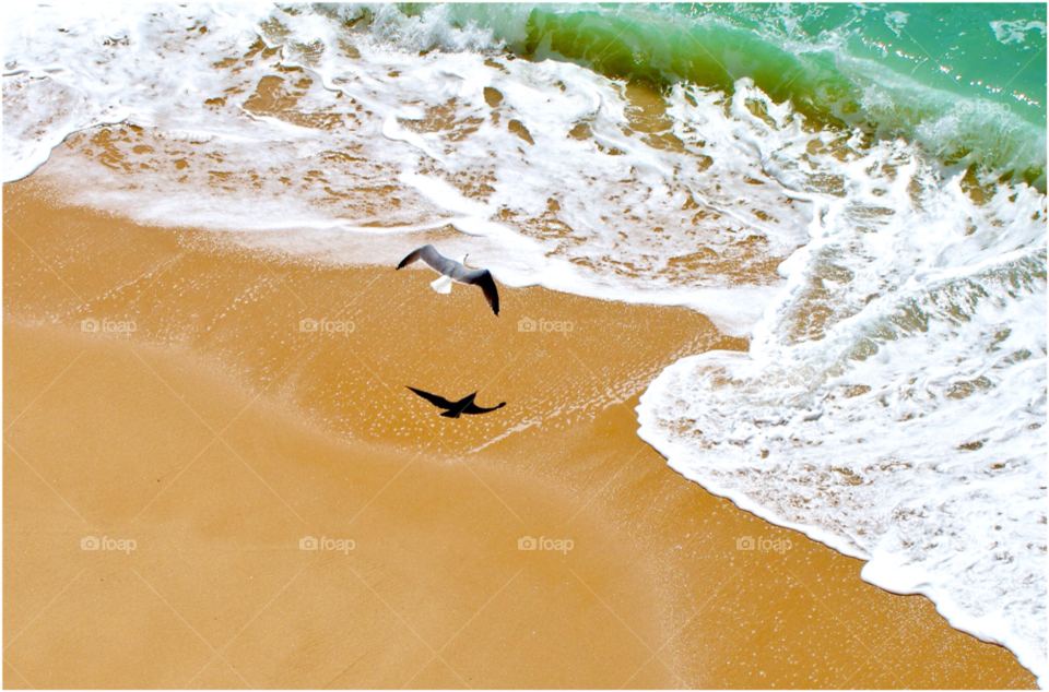 beach nature summer shadow by KathOnEarth