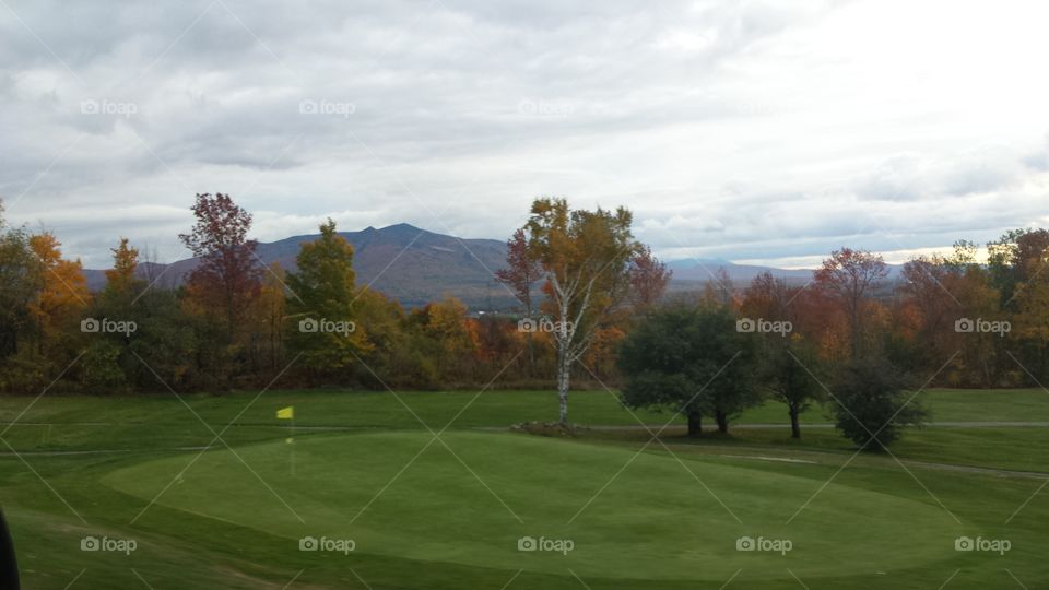 Golf, Landscape, No Person, Putt, Tree