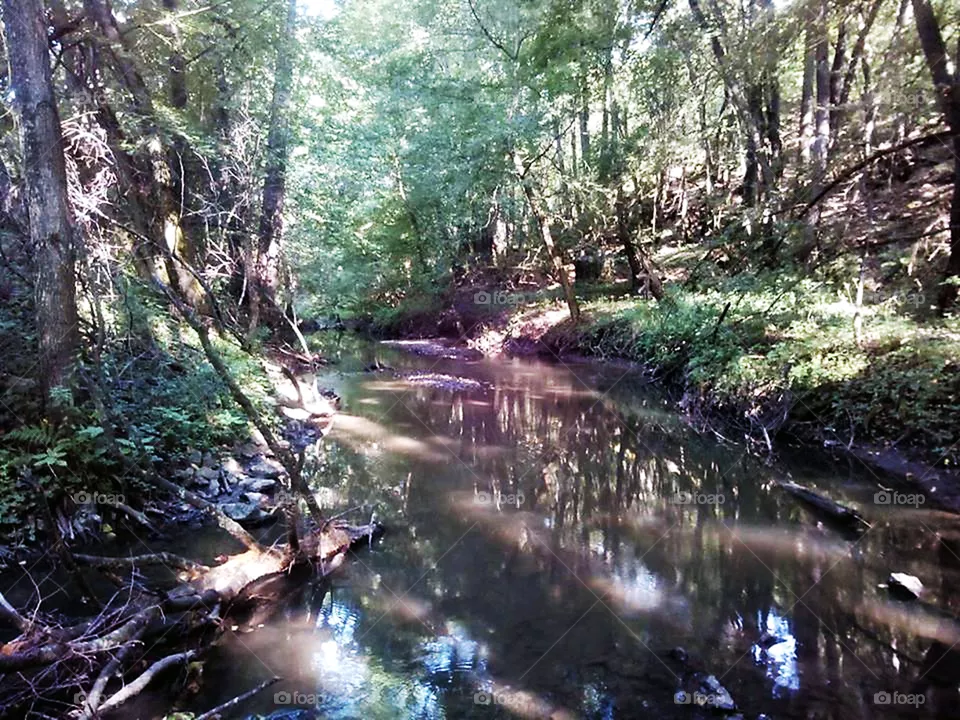 river