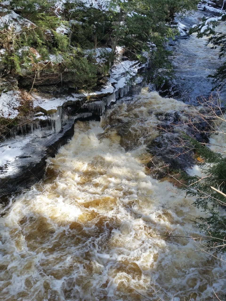Rapids Presque Isle River