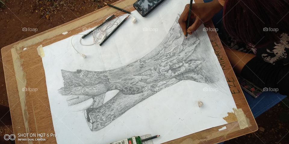 Drawing of one of the oldest Trees in the University of Nigeria, Nsukka