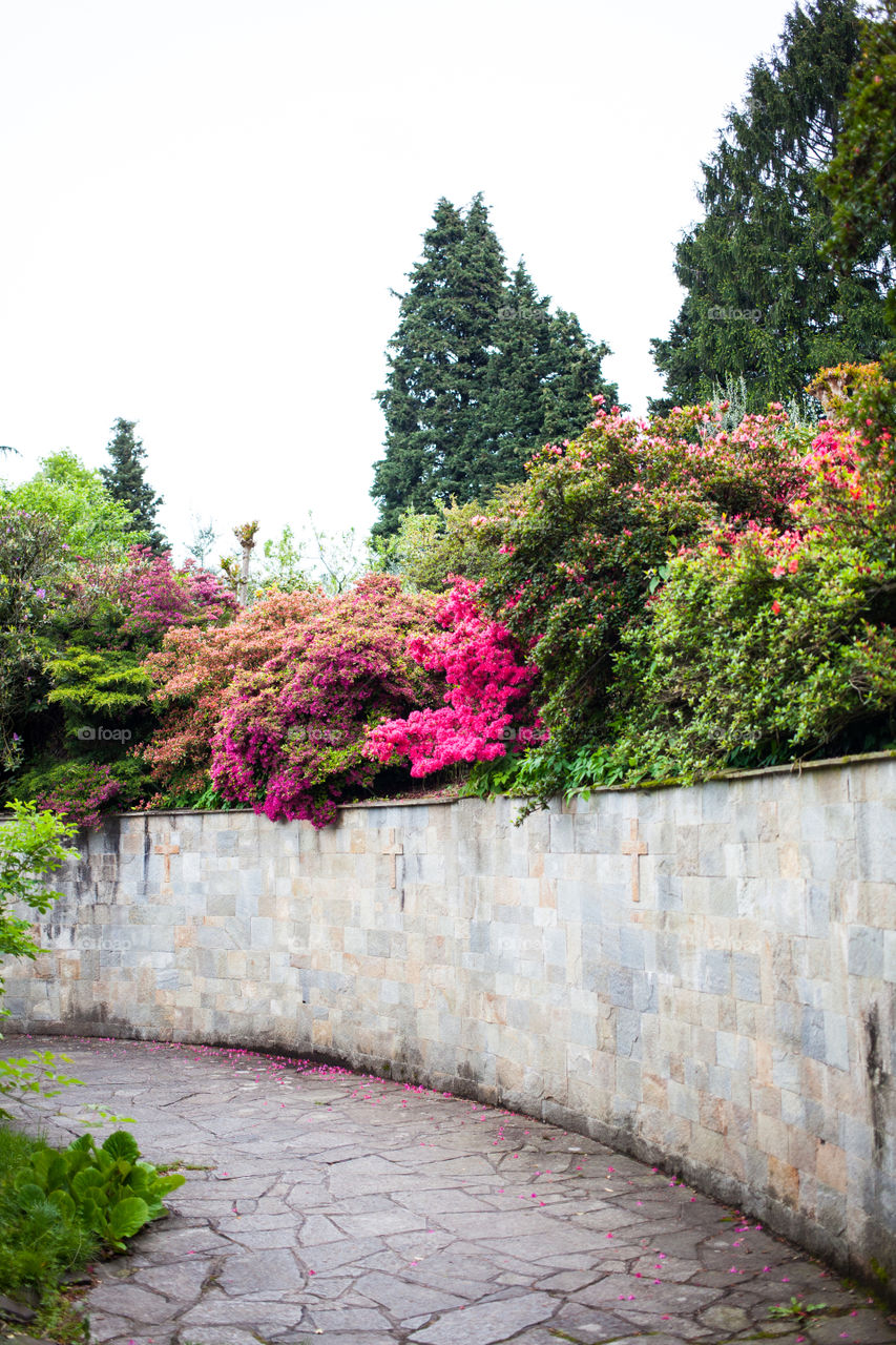 Garden in Abbey di Piona