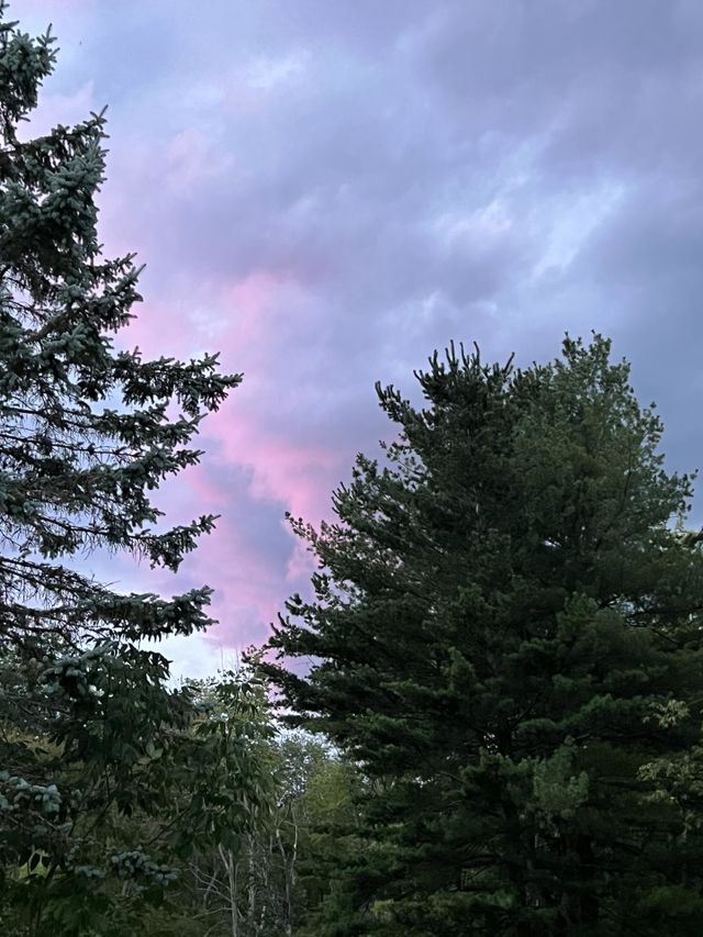 Pink clouds 