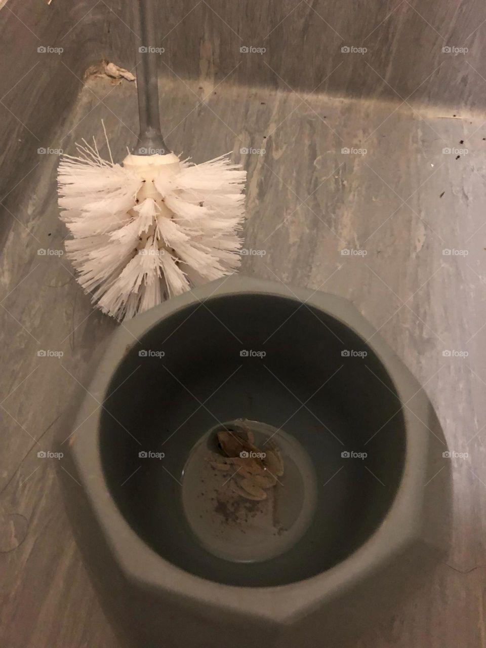 Frog in bathroom
