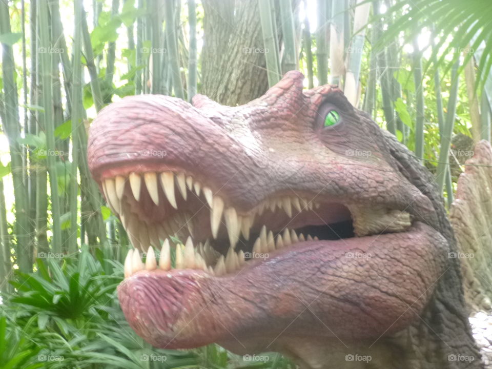 How much do you like this photo?