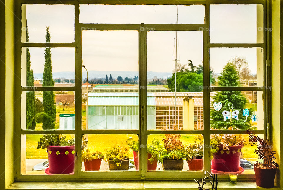 Flower Pots At Beautiful Window