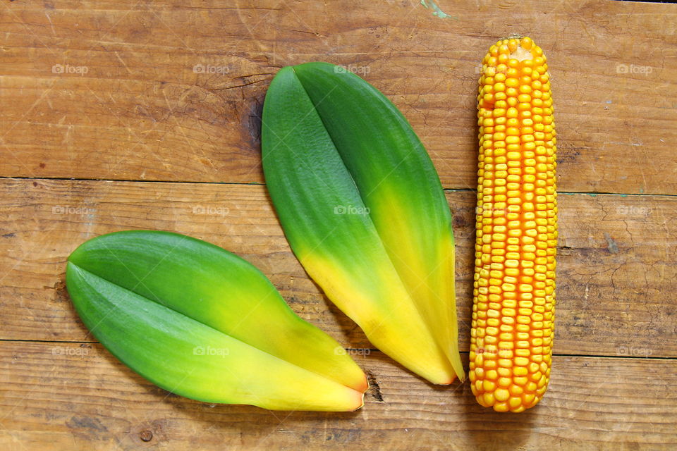 green leaf and corn