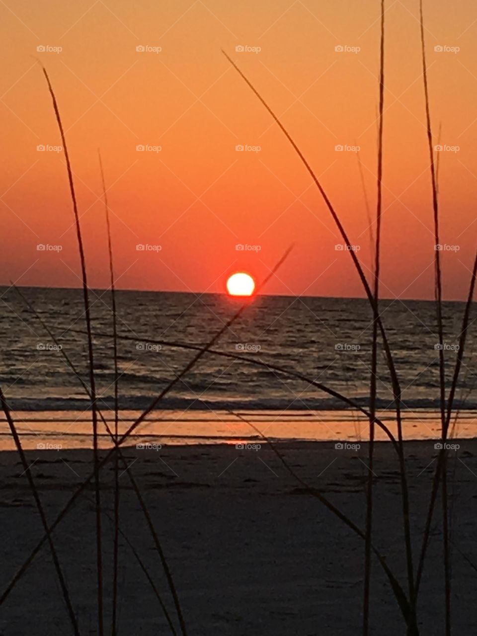 Gulf coast Florida sunset