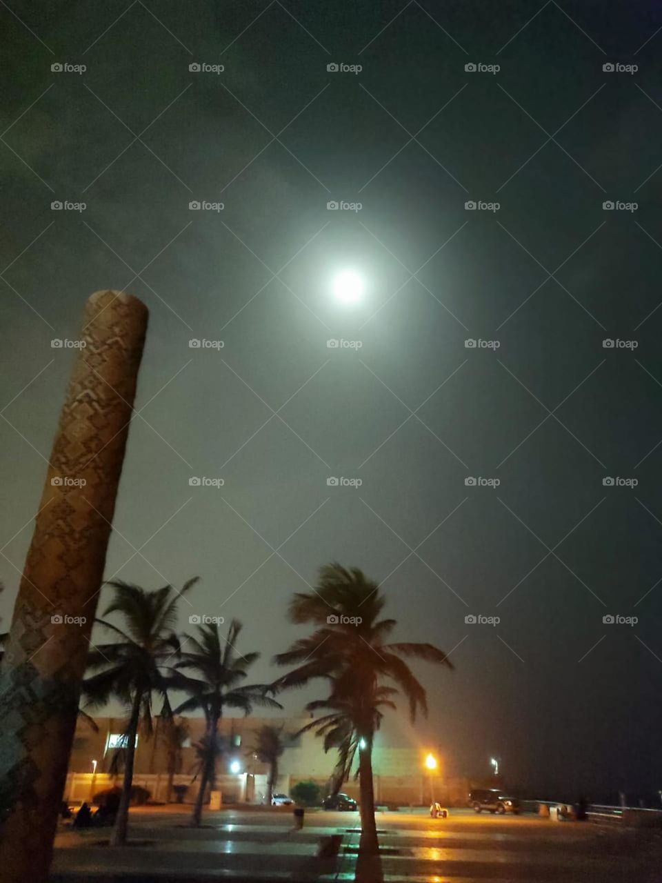 Moon above Palms
