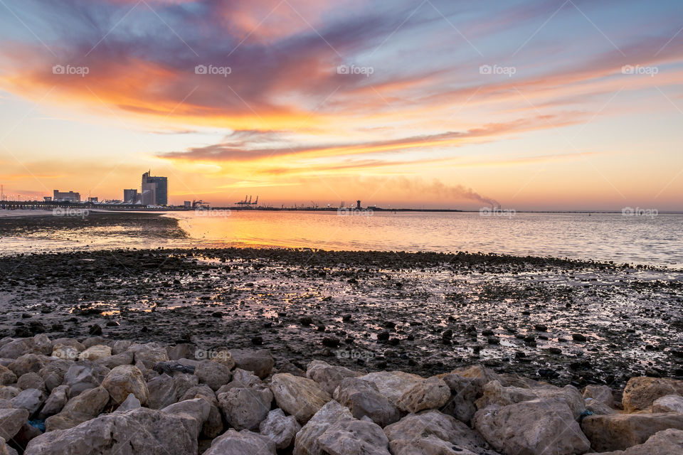 Sunset view of field