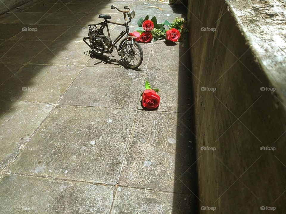 Bicycles and roses symbolize love