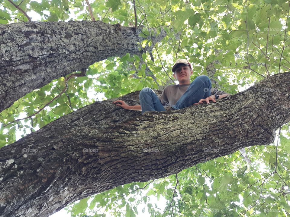 tree climbing