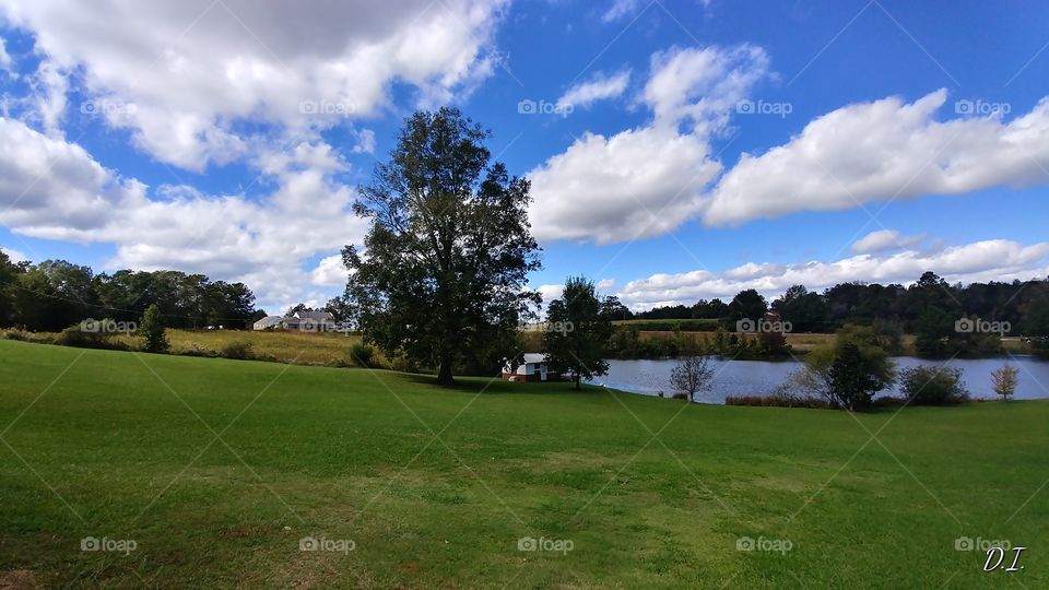 Golf, Landscape, Grass, Tree, No Person