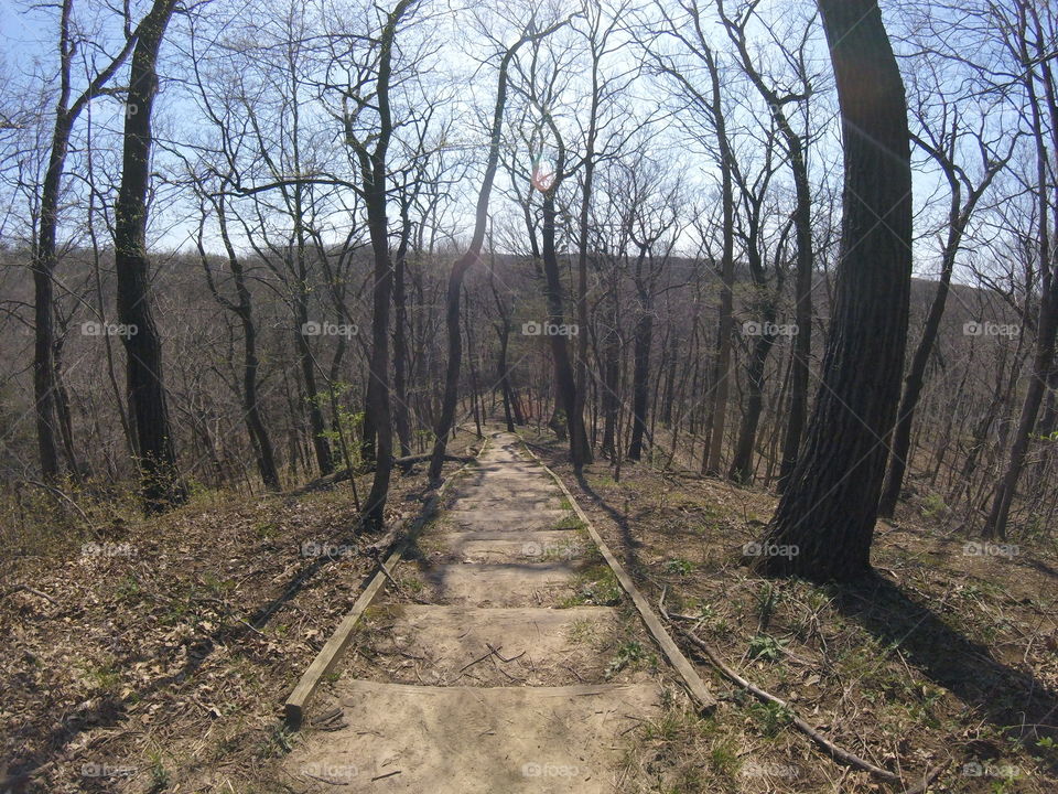 Starved Rock State Park