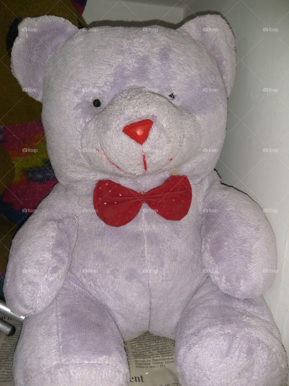 lovely teddy toy