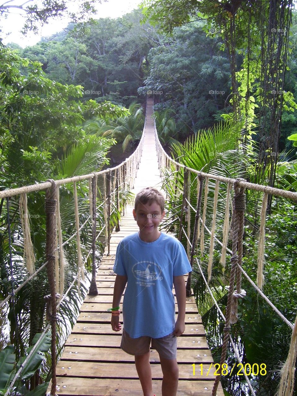 Jungle bridge