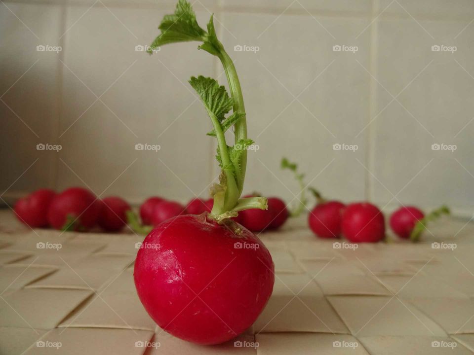 radishes