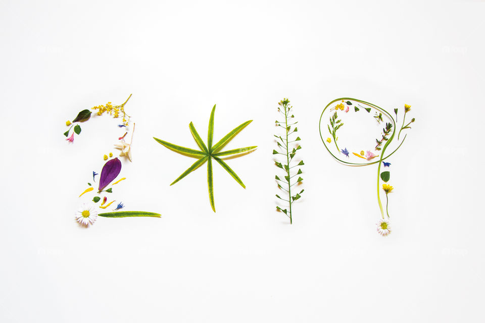 New year 2019 vegetal and floral 